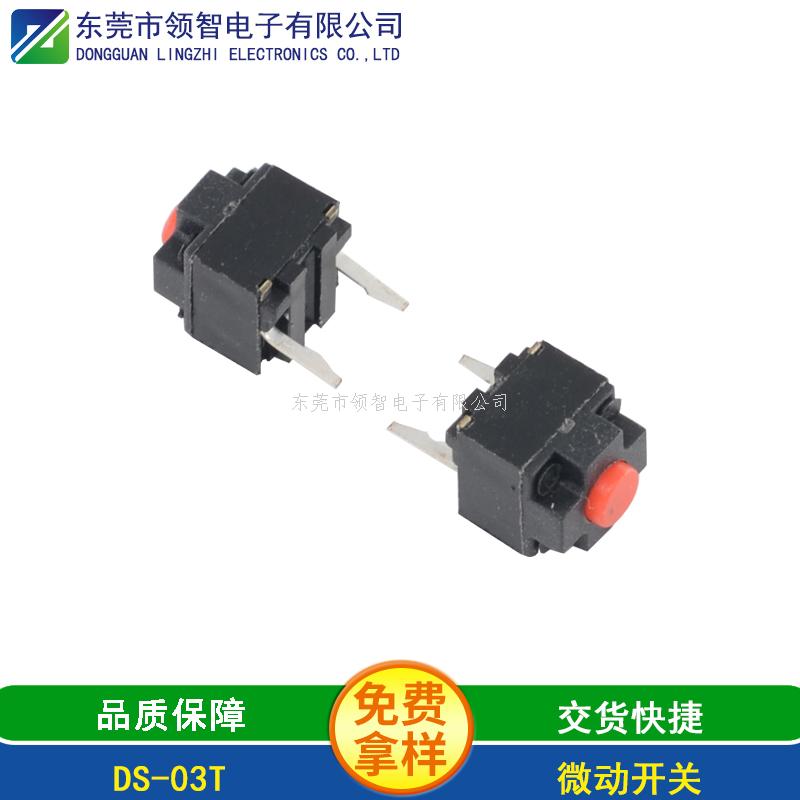 微動(dòng)開關(guān)-DS-03T